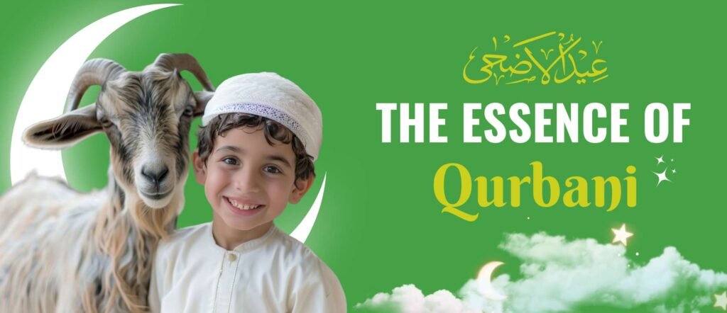 Understanding the Essence of Qurbani: A Comprehensive Guide